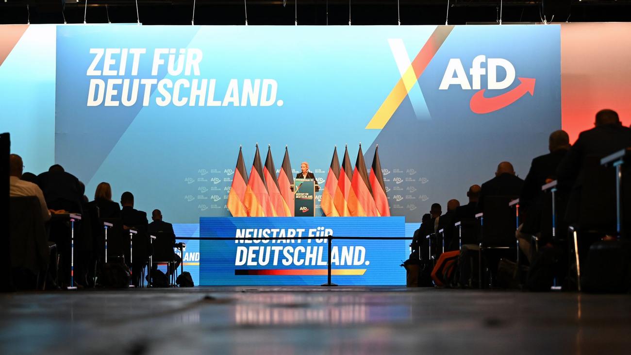 Delegiertentreffen: AfD-Parteitag endet - Protestbündnis zieht positive Bilanz